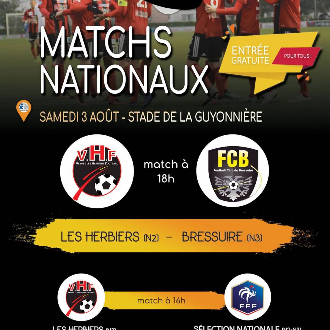 Matchs nationaux amicaux